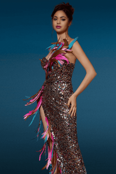 Serena Maxi Shimmer Dress With Feathers